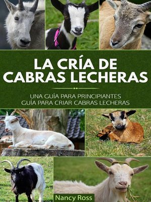 cover image of La cría de cabras lecheras